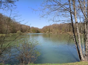 Tour Wandern Fougerolles-Saint-Valbert - 25-04-21 ermitage- étang d'emery - Photo