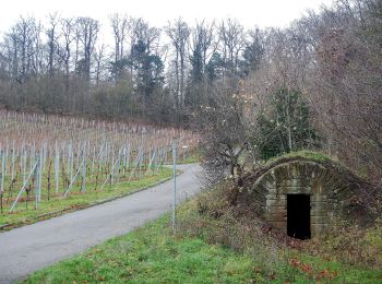 Tocht Te voet Ilsfeld - SB7 WeinKulTour - Weinwanderung - Photo