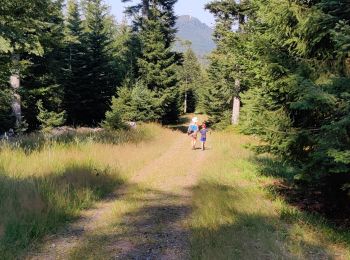 Tocht Stappen Grandfontaine - La Corbeille, col de Prayé - Photo