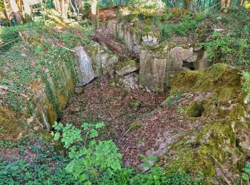 Tocht Te voet Merzig - Der Bietzerberger - Photo