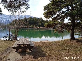 Tocht Elektrische fiets Saint-Bonnet-en-Champsaur - St Bonnet ,lac de roaffan - Photo