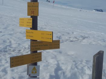 Excursión Raquetas de nieve Hauteluce - Col des Saisies - Croix de la Coste - Signal de Bisanne - Photo