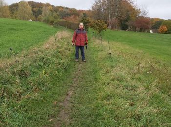 Trail Nordic walking Chaumont-Gistoux - dion bonne Longueville - Photo