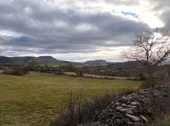 Tour Wandern Marvejols - Marvejols/Valadou - Photo