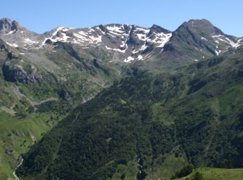 Trail On foot Laruns - Vallon du Soussouéou - Photo