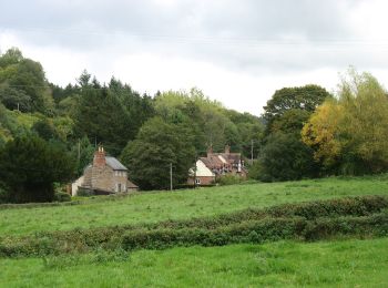 Tour Zu Fuß  - Mordiford Loop - Photo