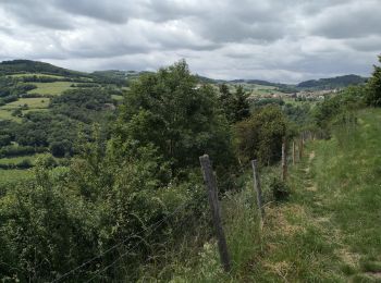 Tocht Stappen Riverie - Tour de Riverie - Photo