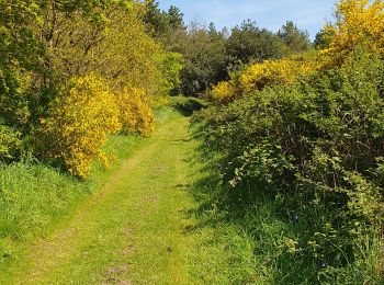 Trail Walking Kerpert - circuit des moulins, Kerpert - Photo