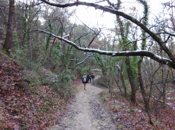 Tour Wandern Pernes-les-Fontaines - pernes 84 - Photo