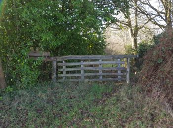 Trail Road bike Montenay - 17 janvier 2021 Megaudais - Photo