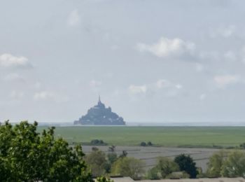 Randonnée Marche Courtils - La Roche Torin - le bas courtils - Photo