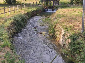 Randonnée Marche Livet-sur-Authou - 20220815 - Photo