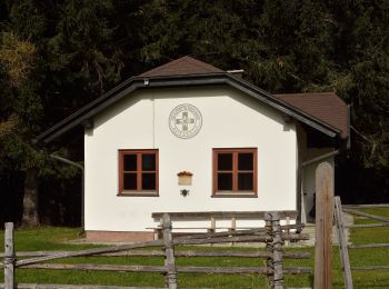 Tour Zu Fuß Gemeinde Aspangberg-St.Peter - Mariensee - Mönichkirchener Schwaig - Photo