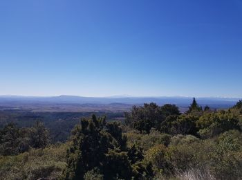 Excursión Senderismo Félines-Minervois - randonnées pédestres des marbrieres  - Photo