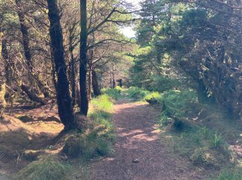 Tocht Stappen Westport-Belmullet Municipal District - Letterkeen loop - Photo