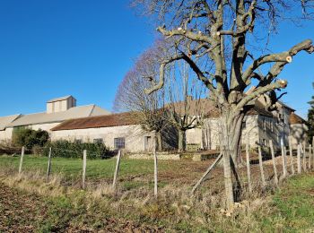 Excursión Senderismo Limours - Essonne_Limours=>Chaumusson=>Pecqueuse=>Villevert=>Limours - Photo