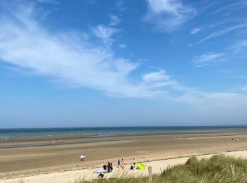 Randonnée Vélo électrique Sainte-Marie-du-Mont - Utah beach - Photo