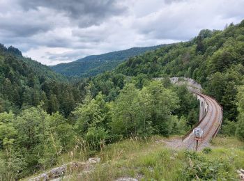 Excursión Senderismo Hauts de Bienne - sentier de la Bienne - Photo