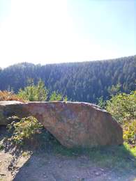 Excursión Senderismo Malmedy - Le pouhon des cuves   - Photo