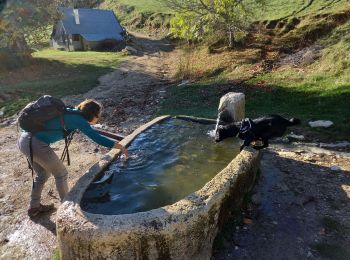 Tour Wandern Engins - Le hameau de Sornin - Photo