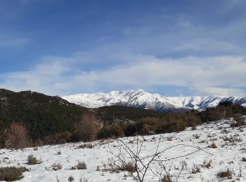 Tour Wandern Tolla - bergerie du prunelli - Photo