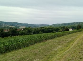 Tour Wandern Mont-Saint-Père - Mont-St-Père du 13-09-2022 - Photo