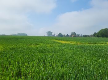 Randonnée Marche Gembloux - Petit Leez 090524 - Photo