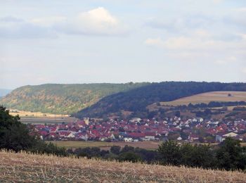 Excursión A pie Oberhaid - Rundwanderweg Oberhaid rot - Photo