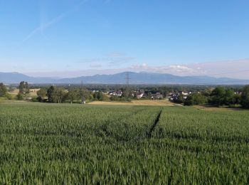 Randonnée Marche Heimsbrunn - 19.05.31.Heim.Morsch.Hoch.Galfing.ForetBurn.Retour - Photo