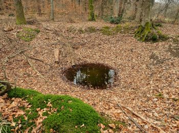 Tocht Te voet Markdorf - Wanderwege Markdorf: Froschweg - Photo