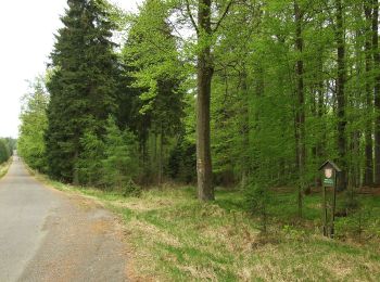 Percorso A piedi Nový Knín - [Z] Stožec - Malá Hraštice - Photo