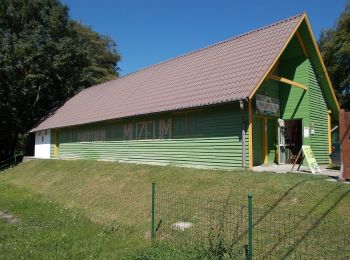 Tour Zu Fuß Szilvásvárad - S+ (Szilvásvárad - Bánkút) - Photo