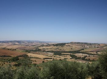 Randonnée A pied Pienza - Vitaleta - Photo