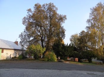 Excursión A pie Šumperk - Okolo Šumperka - Photo