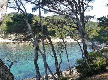 Trail On foot Saint-Cyr-sur-Mer - Sentier du littoral (Saint-Cyr-sur-Mer) - Photo