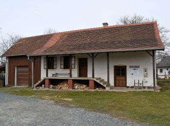 Randonnée A pied Alsószölnök - Rába-menti tanösvény - Photo