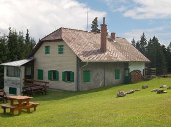 Percorso A piedi Pöllauberg - Waldlehrpfad Masenberg - Photo