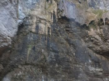 Trail Walking Nolay - Nolay - Photo