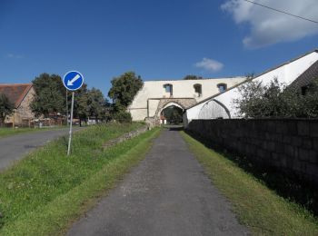 Percorso A piedi Klášter - NS Pod Zelenou Horou - Photo