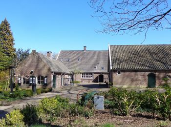 Trail On foot Woudenberg - Dashorsterpad (Klompenpad blauw) - Photo