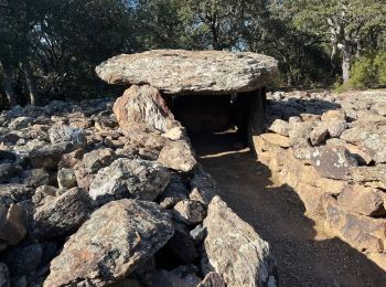 Excursión Senderismo Casefabre - Casefabre Dolmen  - Photo