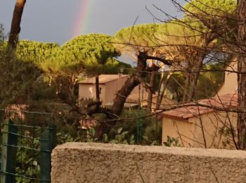 Tocht Stappen Vidauban - l'aille - Photo