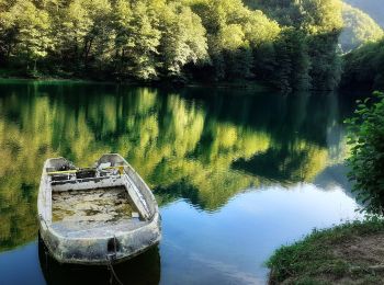 Percorso A piedi Vagli Sotto - Garfagnana Trekking - Tappa 3 - Photo