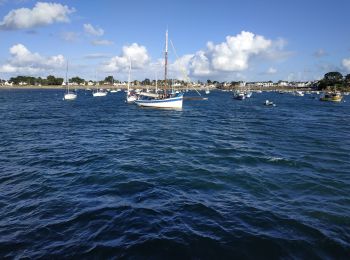 Excursión Barco a motor Locmariaquer - 2023-09-22 golfe du morbihan croisière avec l'angélus - Photo