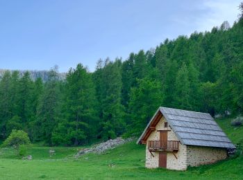 Randonnée A pied Villars-Colmars - De Chasse à la cabane Marie-Louise - Photo