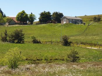 Excursión Senderismo Grandrif - Boucle des Pradeaux - Photo