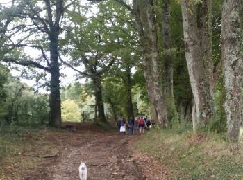 Tour Wandern Chasseneuil-sur-Bonnieure - La randonnée du Mémorial de Chasseneuil  - Photo