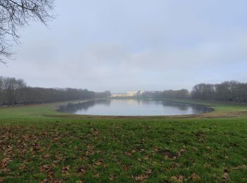 Trail Walking Versailles - Le parc de Versailles  - Photo