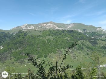 Excursión Senderismo Lalley - col de la croix haute  - Photo