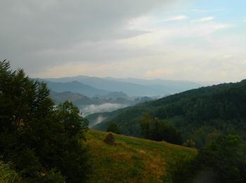 Excursión A pie Desconocido - Poiana Țăsnei - Șaua Arșasca - Photo